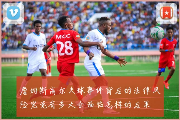 詹姆斯高尔夫球事件背后的法律风险究竟有多大会面临怎样的后果