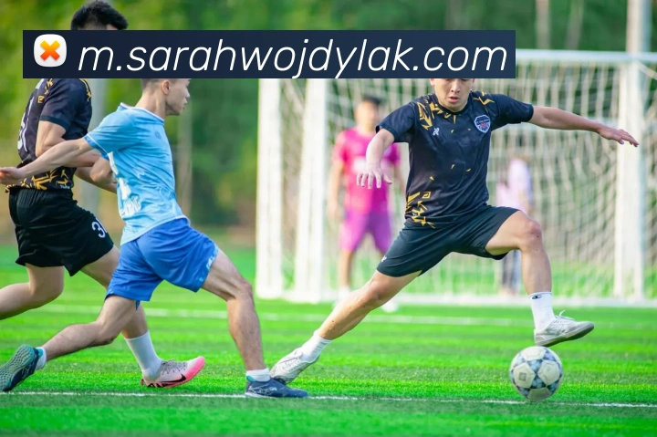 米兰网页版登录入口平台生态图